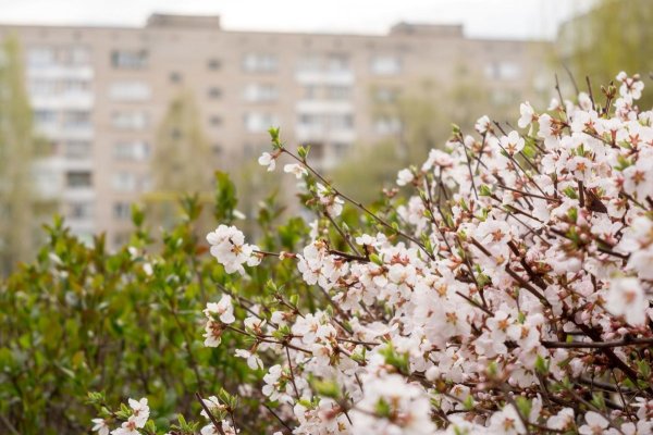 Обнинск Весна