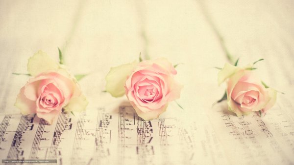 Капель ранней весной