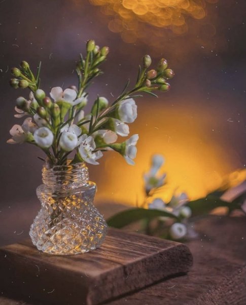 Доброго весеннего вечера