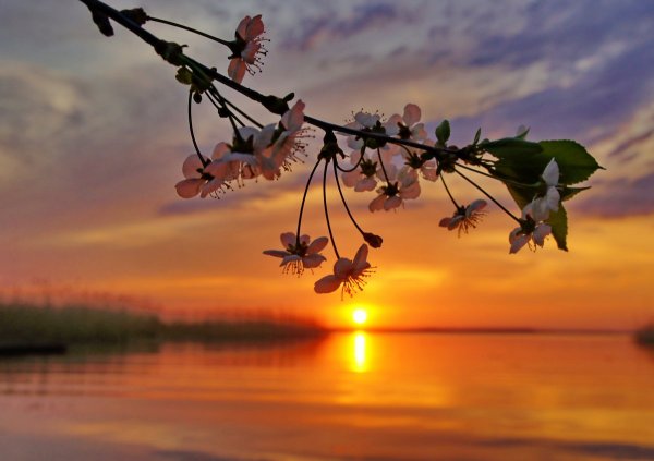 Доброго веченнего Вечерка