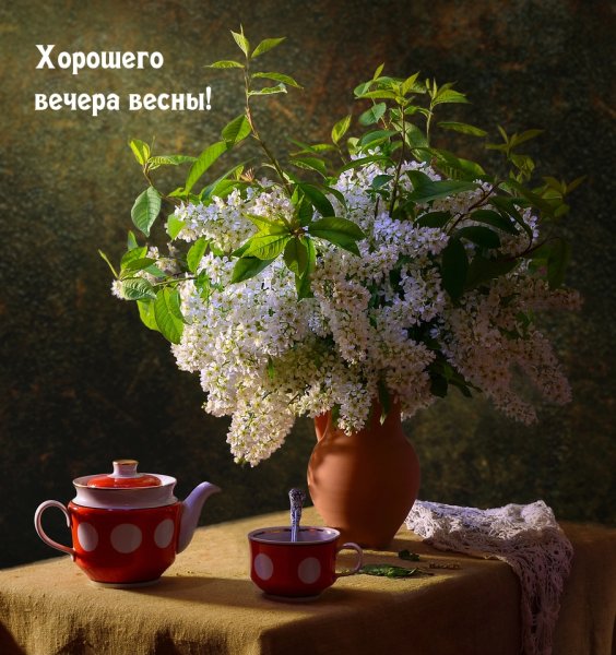 Доброго чудесного вечера