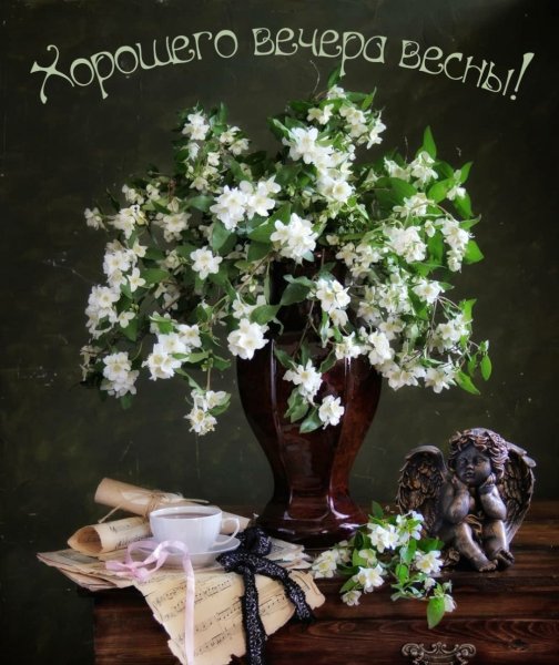 Добрые пожелания с тюльпанами