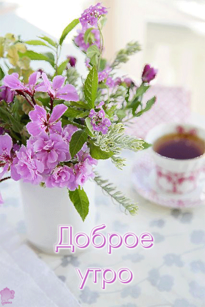 Прекрасного весеннего утра