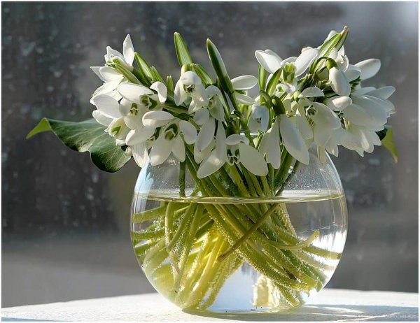 Утро Весна цветы