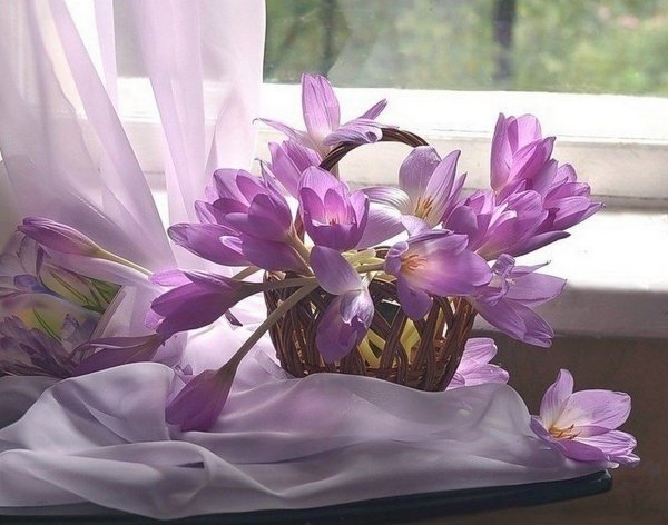 Чудесного летнего утра