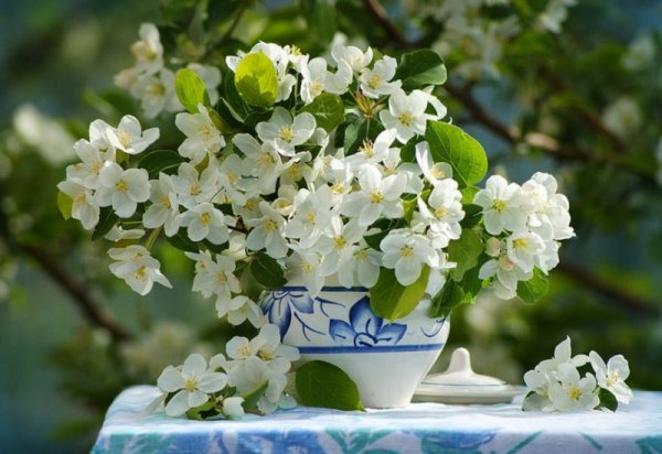 Открытки на каждый день весенние