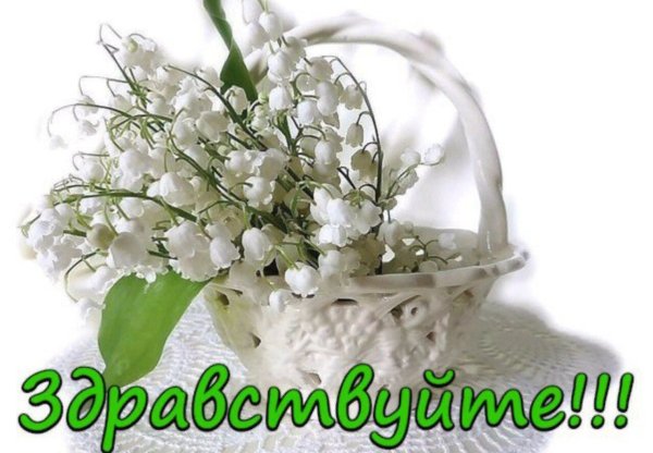 Доброготвесеннего дня!