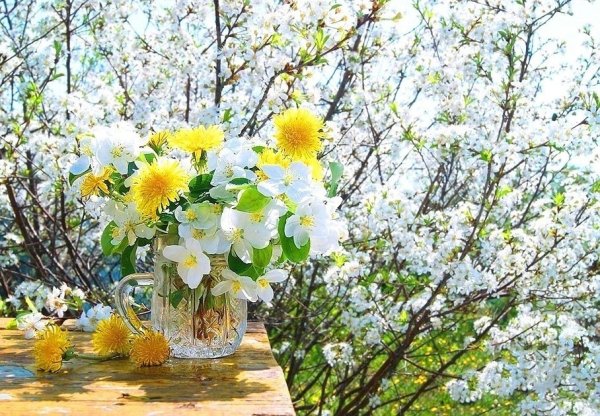 Весенние цветы