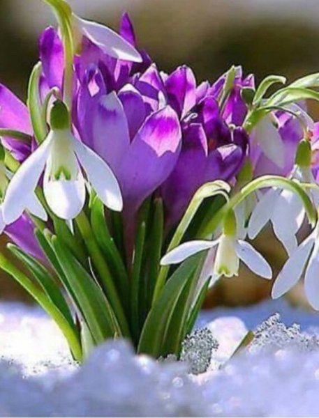 Нежные открытки с добрым утром