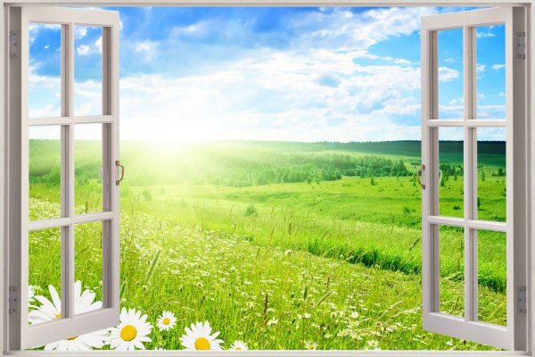 Открытое окно