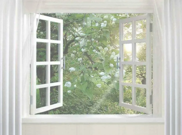 Сад в окне