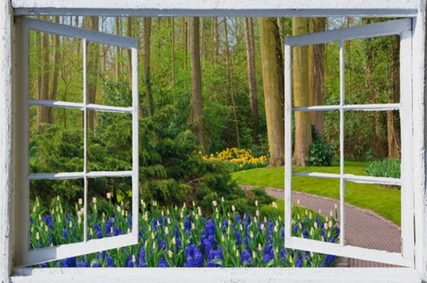 Вид из окна Весна