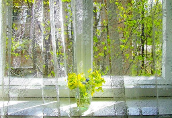 Весна за окном