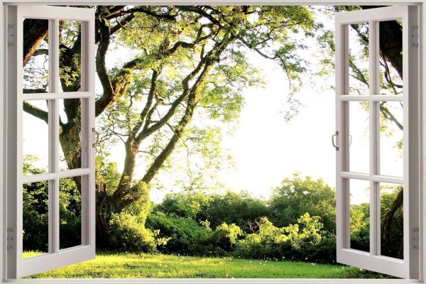 Окно в природу