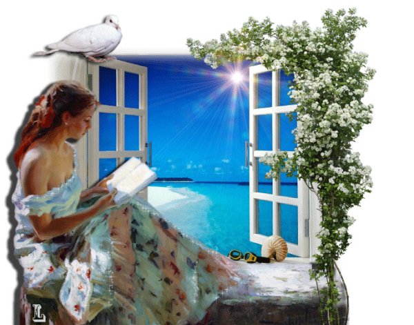 Открытое окно