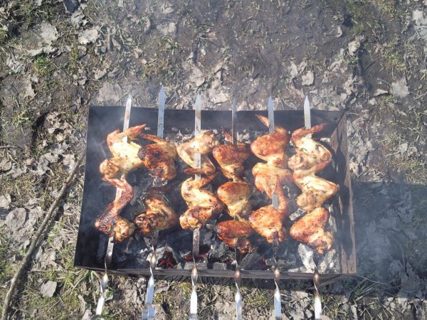 Шашлыки на природе весной