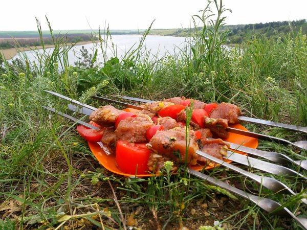 Шашлыки на природе у озера