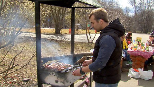 Шашлык в парке