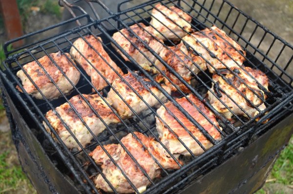 Ранняя Весна шашлык на природе