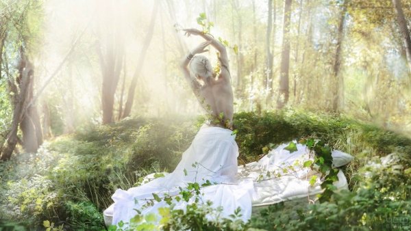 Сказочная фотосессия в лесу летом