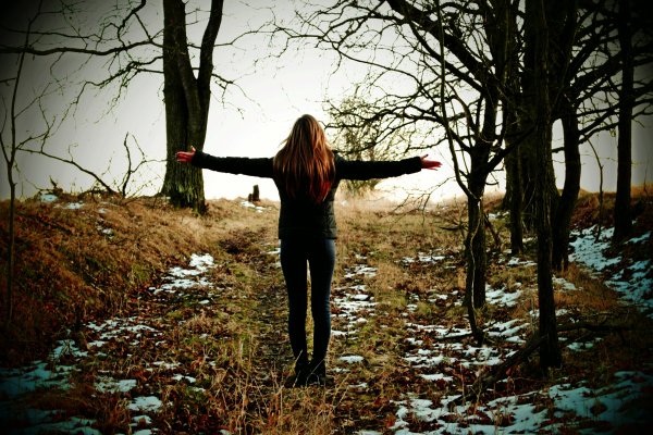 Одиночество в лесу