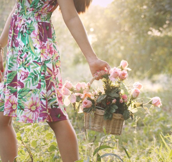 Черри блоссом девушка