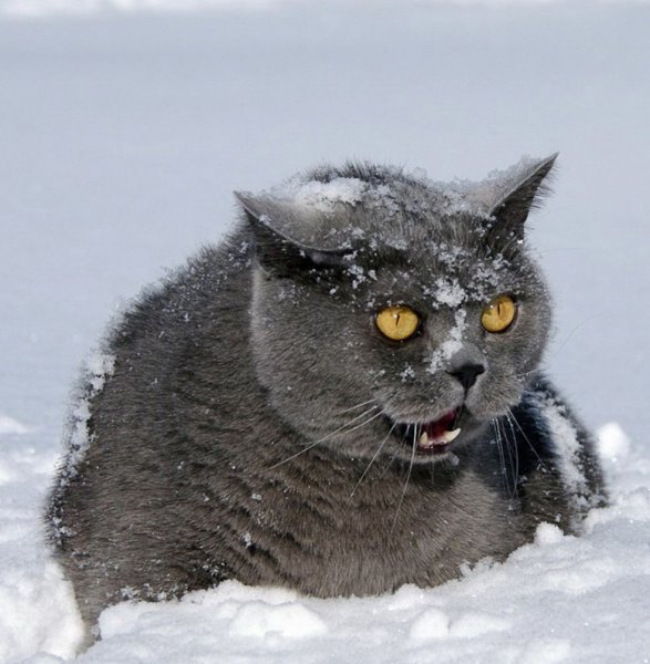 Мать честная сколько же весны навалило