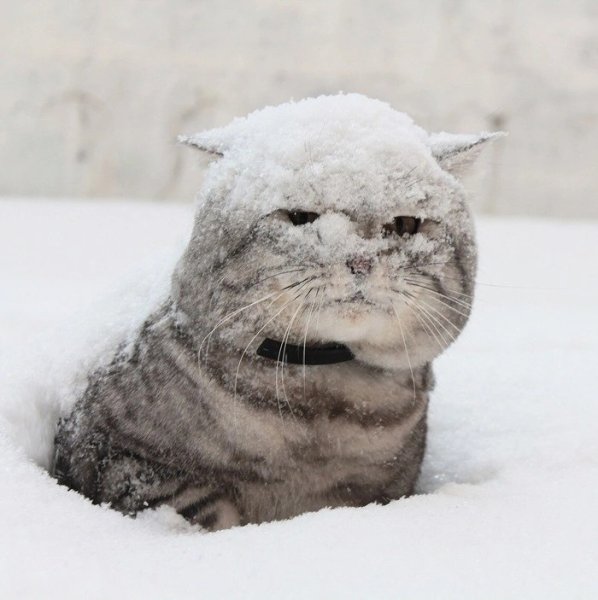 Весна чуть чуть мешает метр снега