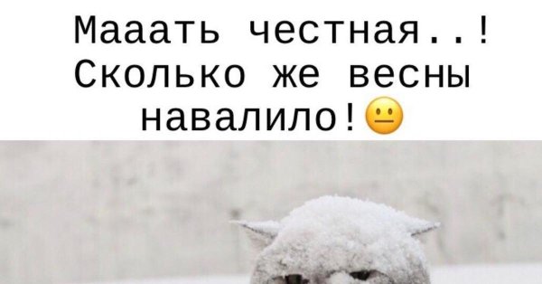 Так себе Весна