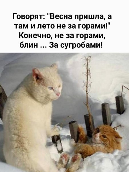 Приколы про зиму и весну