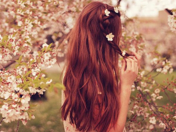 Фон февраль цветы