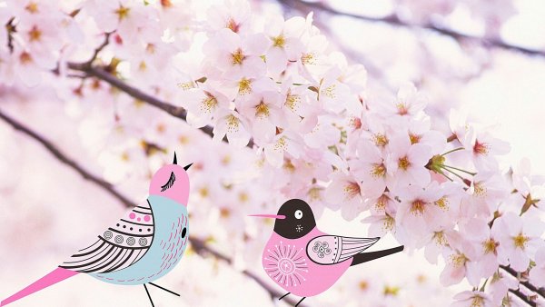 Птички на фоне Сакуры