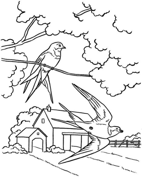 Раскраска Весна для детей