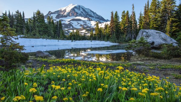 Mount Rainier National Park гора.
