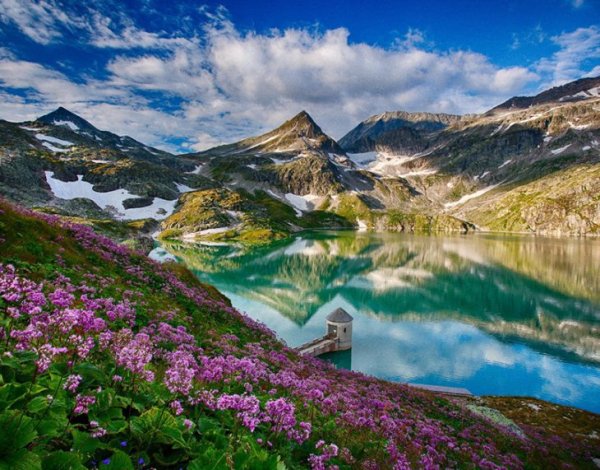 Цветение озера фантастика