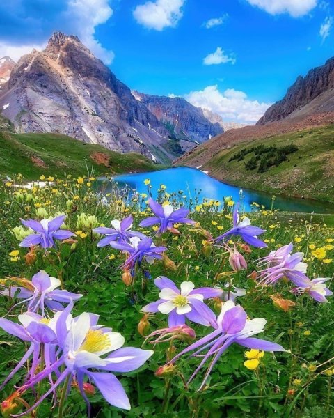 Озеро Байкал Иван чай