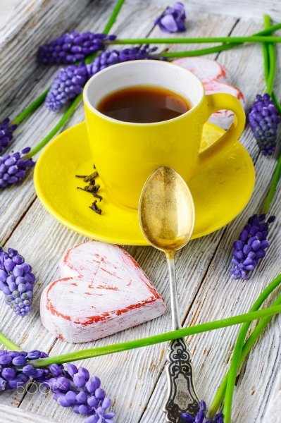 Доброе солнечное Весеннее утро