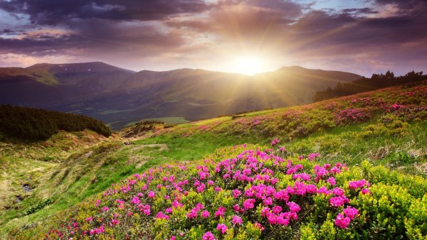 Горы весной