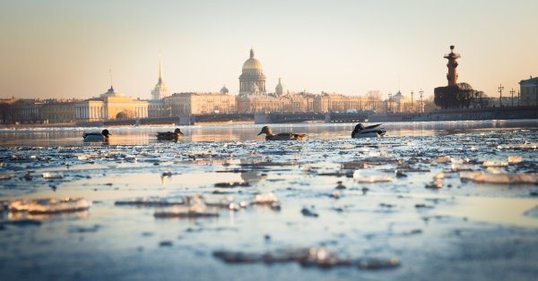 Нева климат Санкт-Петербург