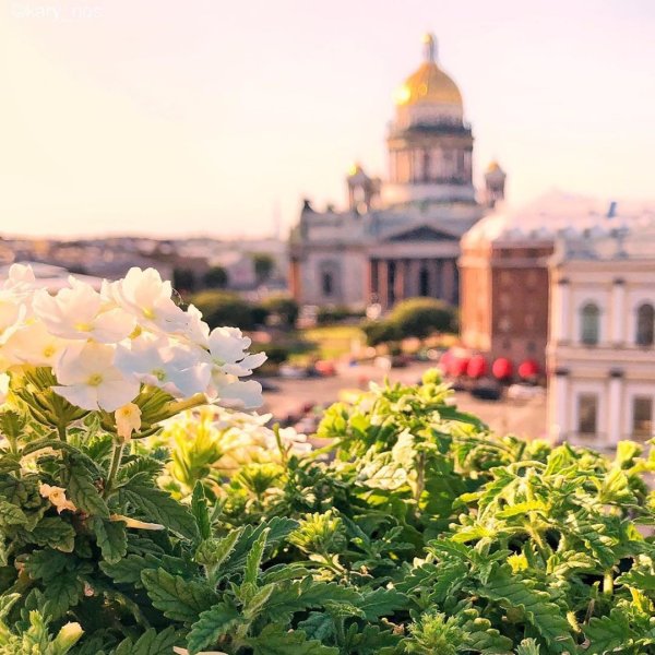Санкт-Петербург летом