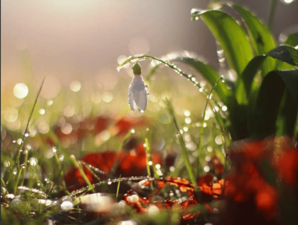 Открытки на улице дождь