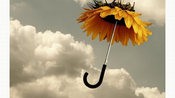 Веселый дождь