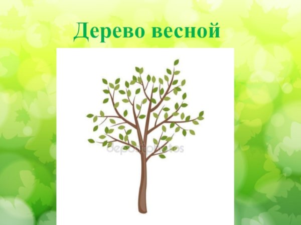 Весеннее дерево для детей