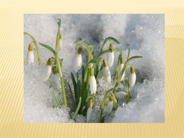 Весна в ДОУ для детей