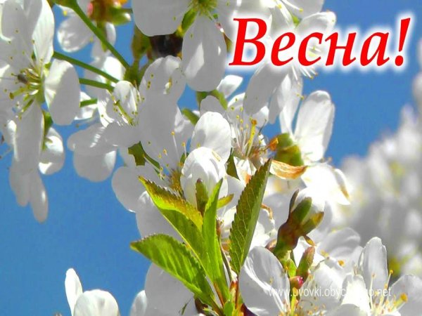 Надпись с весной