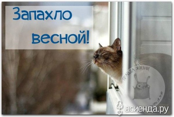 Доброе утро пахнет весной