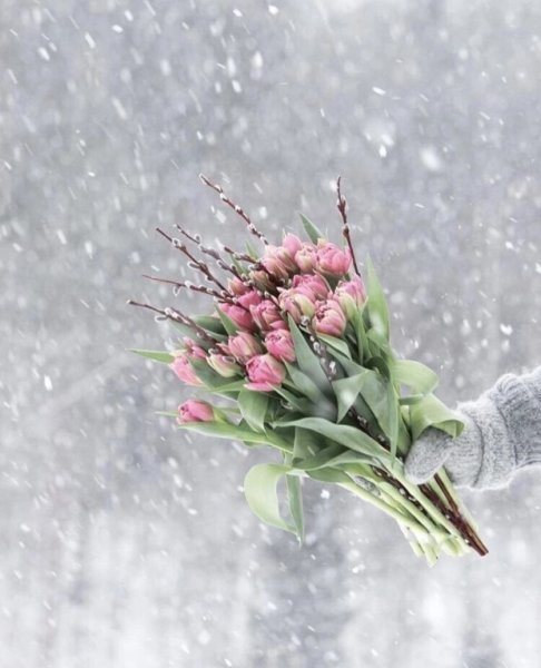 Ура скоро Весна