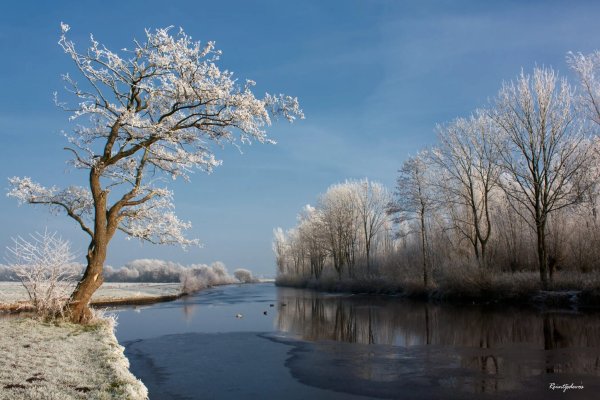 Игорь Зенин фотохудожник Весна
