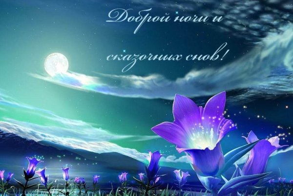 Лунный цветок Айгуль