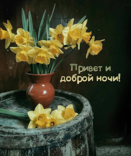 Добрым людям доброй ночи